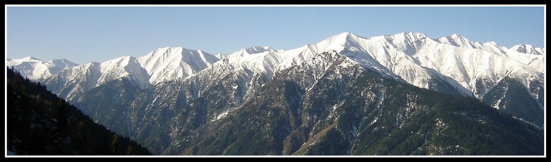 Fantastic Nature.JPG